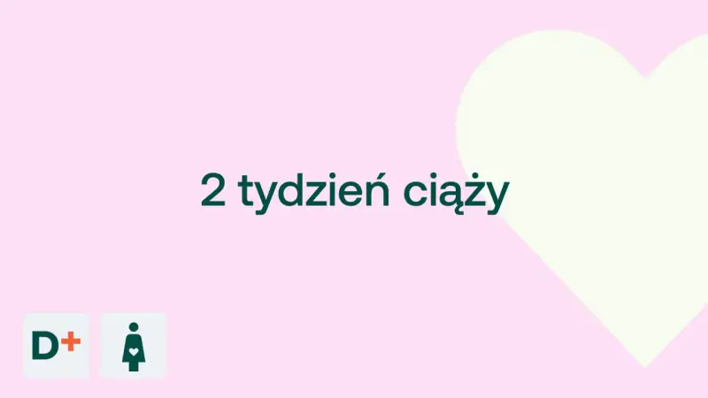 2 tydzień ciąży. Malutkie serduszko zaczyna bić, a dziecko rośnie w brzuchu.